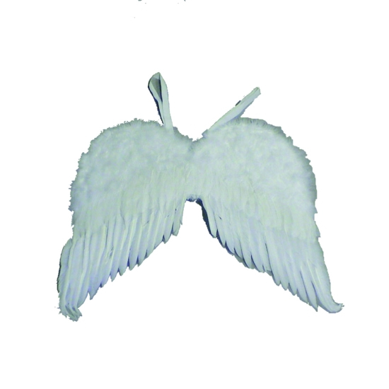 Adult Feather Angel Wings 7